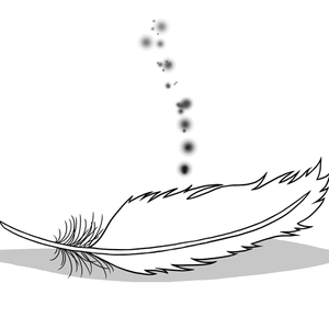 Through Brand New Eyes