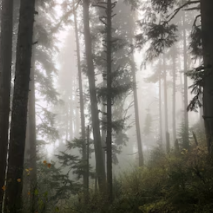 O conto da meia noite