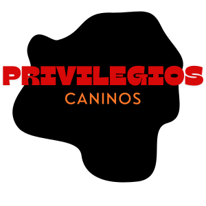 Privilegios caninos (2025)
