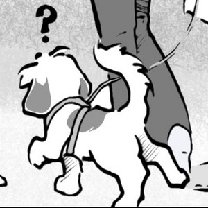 Observando Fen&ocirc;menos