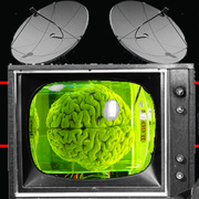 Brain_Tissue_Patchwork