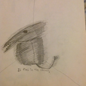 Mr. Shadow has a pet and it has teeth