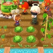 pocket camp one-shot