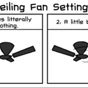 Ceiling Fan Settings