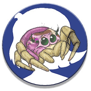 Lucky Jumping Spider