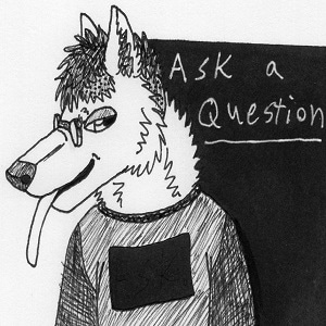 Quick Questions