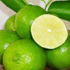 Lime Soda