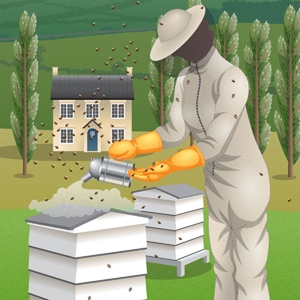 The Beekeeper