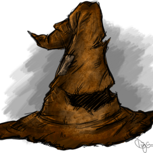 Chapter 3 : The Sorting Hat