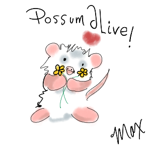 Possum Alive