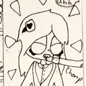 Chapter 1 pages 16-18