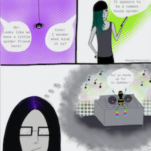 SWITCH-UP: House Spider