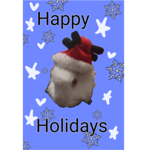 Happy holidays!
