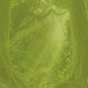 Adventurers of the Forest