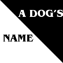 A dog's name