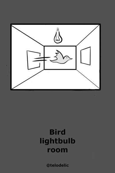 Bird lightbulb room