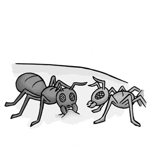Ironic Ants