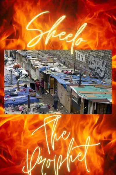 Sheelo the Prophet