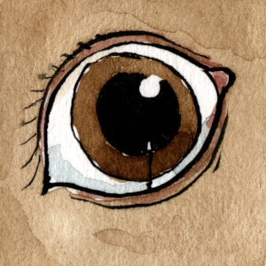 In the Blink of an Eye