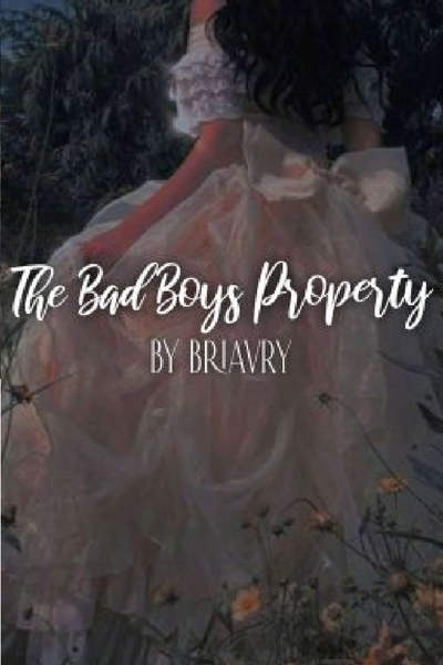The Bad Boy's Property