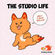 The Studio Life