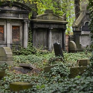 Cemetery Solitude