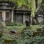 Cemetery Solitude