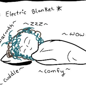 Electric Blankets