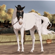 The Halloween Horse Show