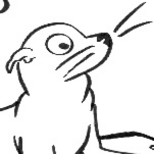 Sea lions