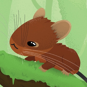 Meet the Mt. Pulag Tree-mouse
