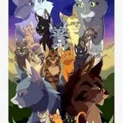 Warrior Cats: How it really goes.