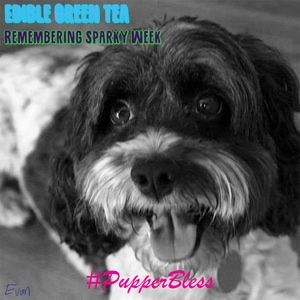 Edible Green Tea 14: Remembering Sparky Week 4: Stuffed with Anger