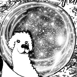 it's beginning to look like Christmas 