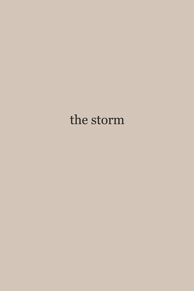 the storm