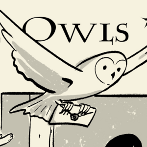 Do Muggles Dream of Electric Owls?