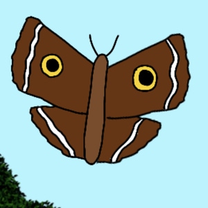 Episode 14: Mimicry