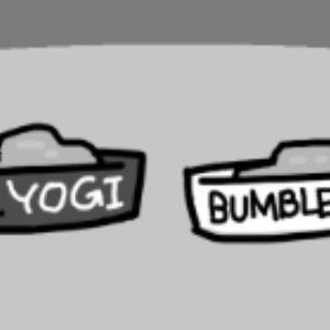 Sibling jealousy - Bumble and Yogi (Buckinghamshire, UK)