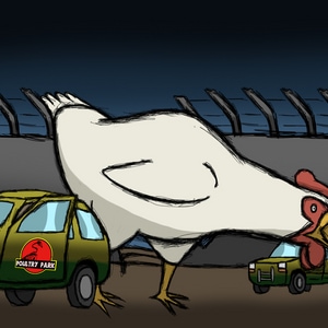 10. Poultry Park Part 2