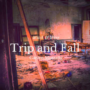 Trip and Fall