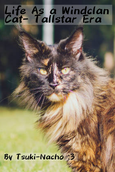 Life of a Windclan cat- Tallstar Era