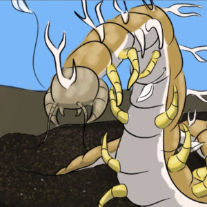 Episode 14: Papaolelagi (An Unexpected Ally)