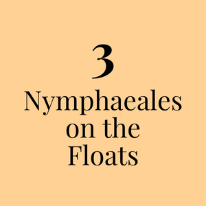 3. Nymphaeales on the Floats, pt. 1