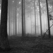 Surviving The Hellscape