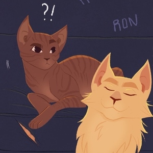 Maine coon mischief&hellip;again