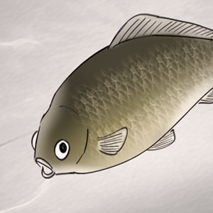 56. The Big Catch