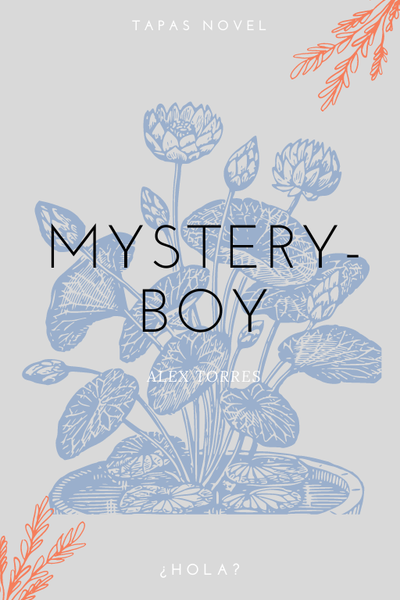 Mystery-Boy 