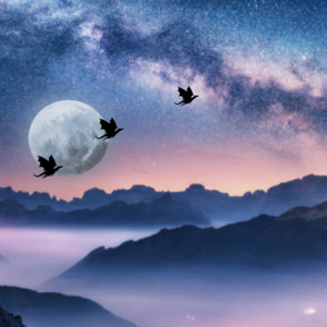 Chapter 3.2: The Shape of the Future