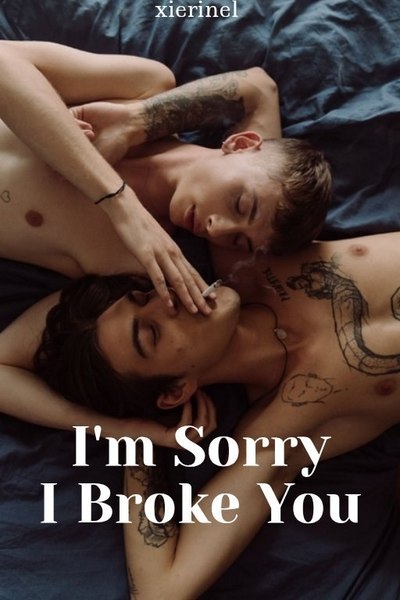 I'm Sorry I Broke You