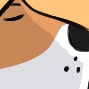 The Application Pt1 (Pilot)